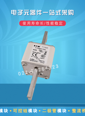 巴斯曼快速熔断器170M4166 4167 4168 4169 4170 4171 4174