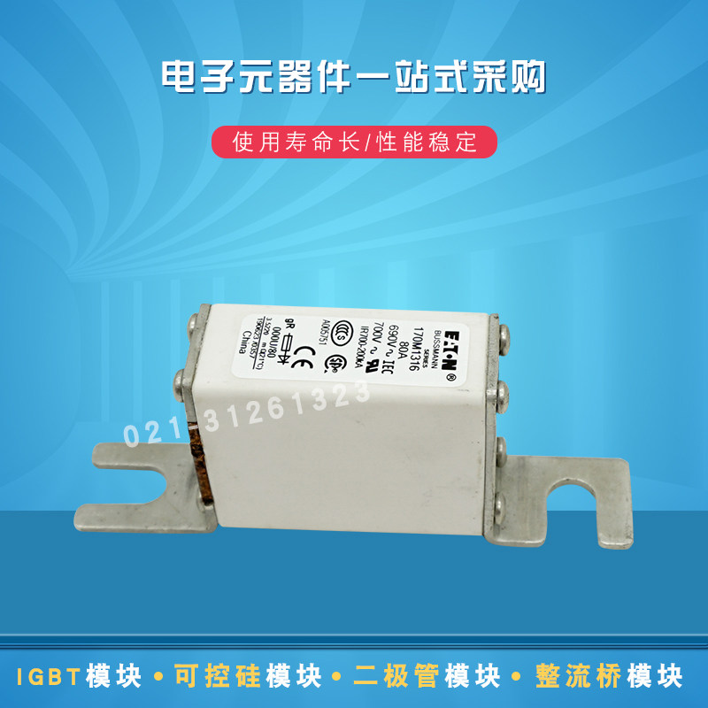 快速熔断器保险丝170M1316 1317 1318 1319 1320 1321 1322 1358