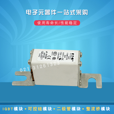 快速熔断器保险丝170M1316 1317 1318 1319 1320 1321 1322 1358