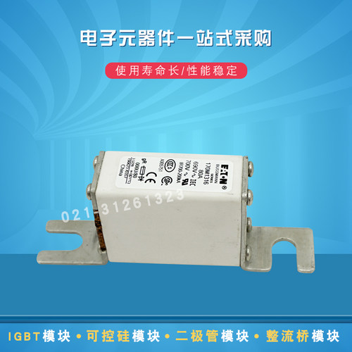 快速熔断器保险丝170M1316 1317 1318 1319 1320 1321 1322 1358
