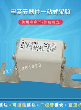 快速熔断器170M4768 4769 4770 4771 4802 4803 4804 4805 4806