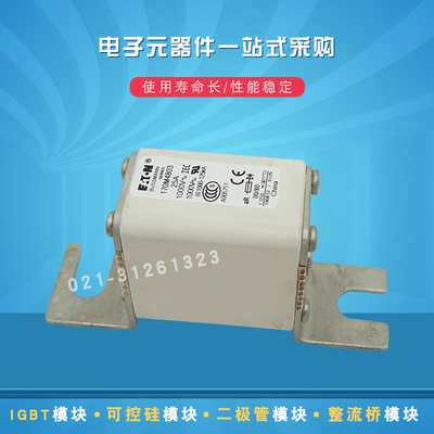 快速熔断器170M4768 4769 4770 4771 4802 4803 4804 4805 4806