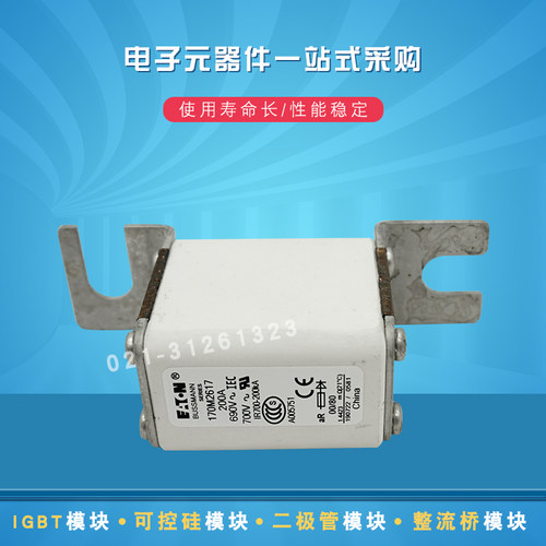 巴斯曼快速熔断器保险丝170M2615 2616 2617 2618 2619 2620 2621