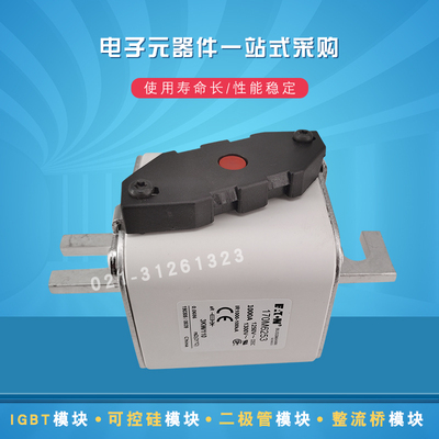 170M6254 6256 6258 6259 6260 6261 6262 6263快速熔断器保险丝