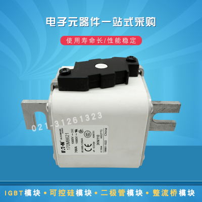 巴斯曼170M8621-8624熔断器