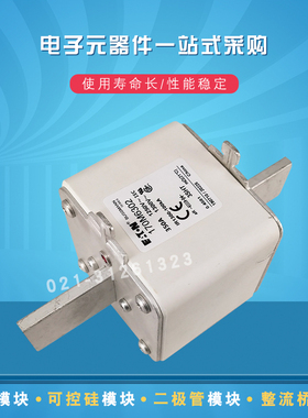 快速熔断器保险丝170M6315 6316 6317 6318 6325 6338 6339 6340