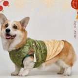 Демисезонное удерживающее тепло праздничнное ципао, майка топ, флисовый пуховик, осенний сезон