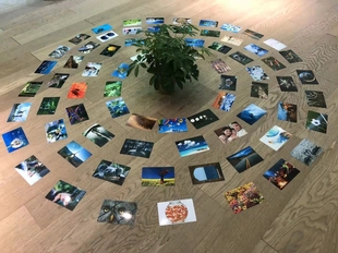 行动学习 促动引导分享 破冰隐喻卡片 视觉探索问题培训