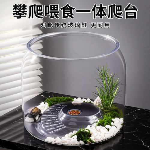 乌龟攀爬喂食一体爬台龟缸透明桌面造景生态龟缸耐摔养乌龟专用箱