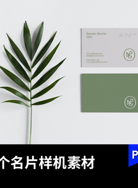 带绿色叶子的品牌名片vi样机模板贴图效果图设计ps素材