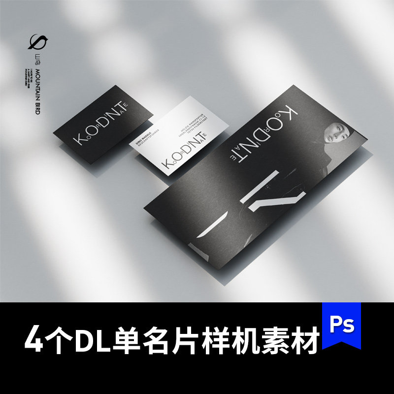 企业品牌DL宣传单名片mocku模板样机VI贴图展示效果图设计素材