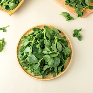 新鲜田七苗500g新鲜蔬菜凉拌沙拉食用三七叶牡丹吊兰穿心莲田七叶