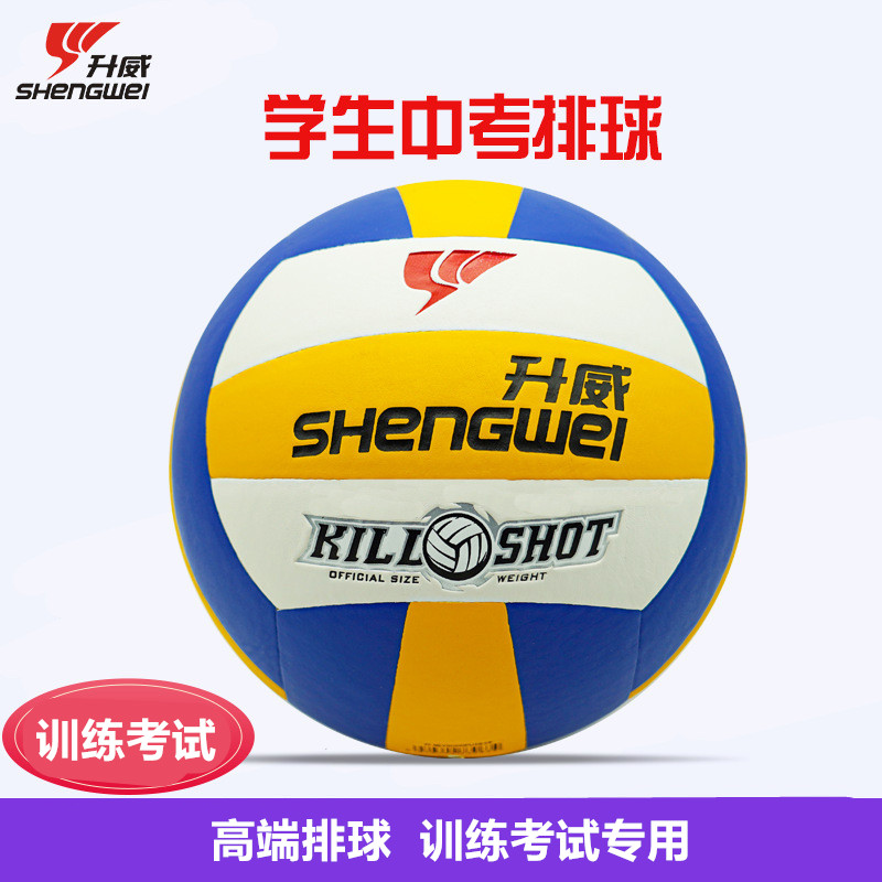 比赛PU训练5号中考排球图片
