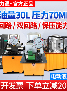 光合液压电动泵小型脚踏式高压油泵浦电磁阀手动液压泵站双回路