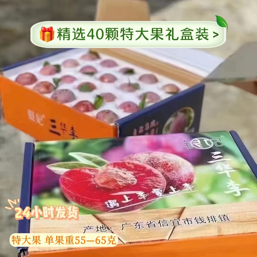 【精选礼盒5斤40颗装特大果】正宗钱排镇银妃三华李应季水果