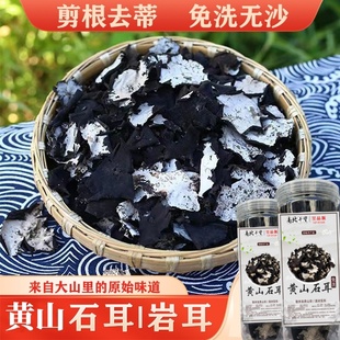 黄山石耳 岩耳新货手工剪根去蒂野生石耳石衣石木耳无沙干净罐装