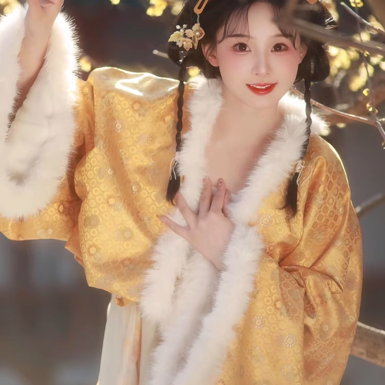唐制汉服【云祈】一片式齐胸裙法门寺披袄加绒加厚日常金色小公主