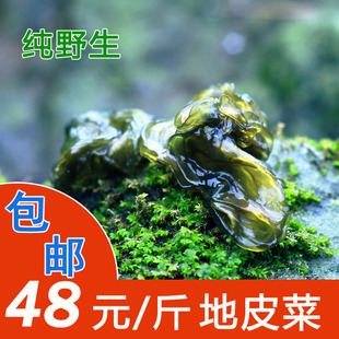 纯野生非免洗地皮菜/地木耳/地皮菇地衣 500g起全国包邮干货