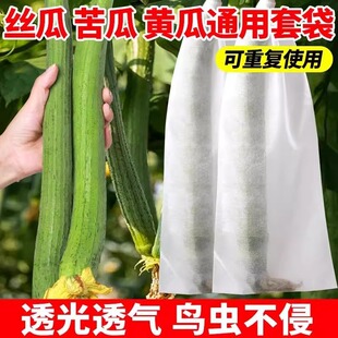 无纺布苦瓜适用套袋丝瓜黄瓜青瓜羊角蜜防虫袋保护袋防蜂果蝇套袋