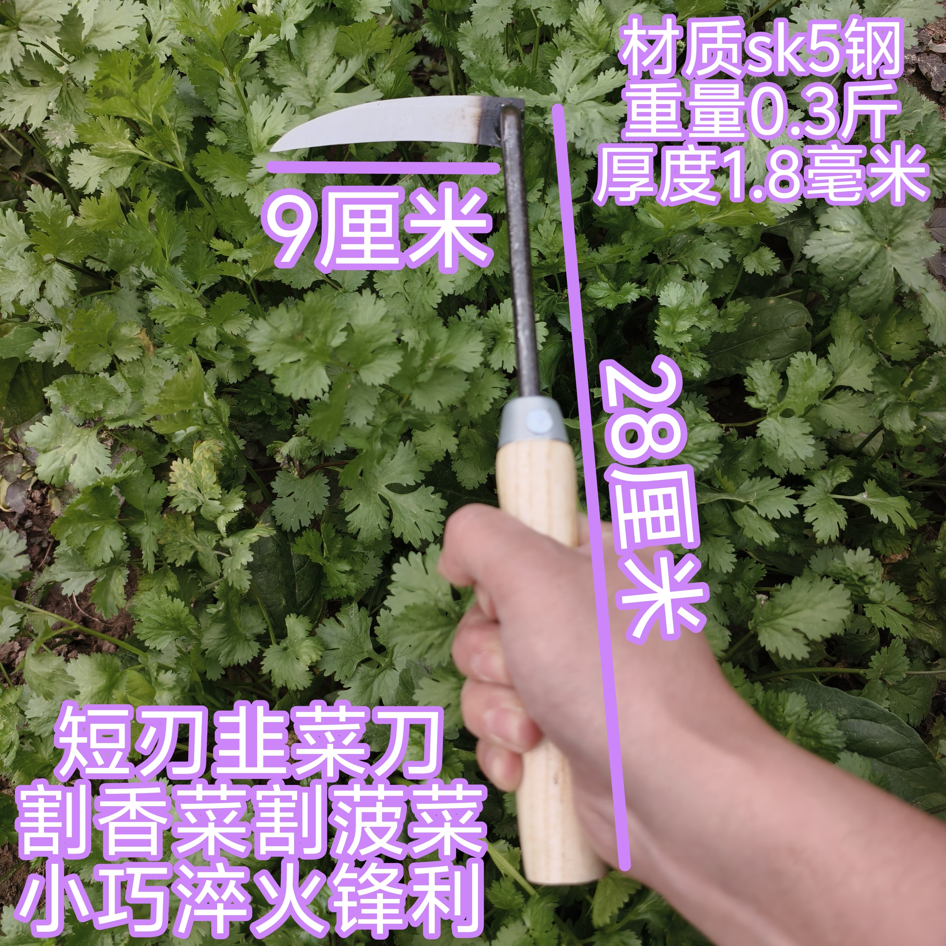 碳钢割韭菜割香菜割菠菜小镰刀勾刀除草开刃小弯刀锋利淬火耐用