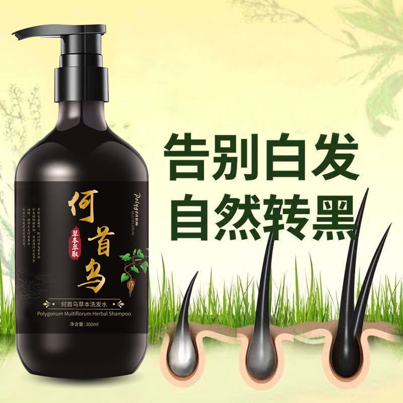阿诗梵甄选洗发水何首乌草本植物黑发洗发液白发转黑乌黑亮发乌发