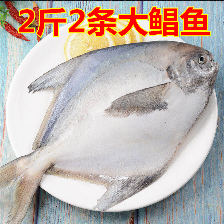 2条共2斤东海大鲳鱼新鲜冷冻白鲳鱼银鲳鱼 平鱼 扁鲳鱼海鲜水产