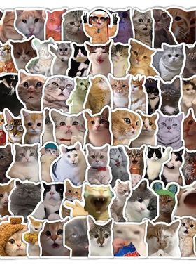 303张猫meme贴纸可爱搞笑鬼畜猫咪表情包梗图素材行李箱标签贴画