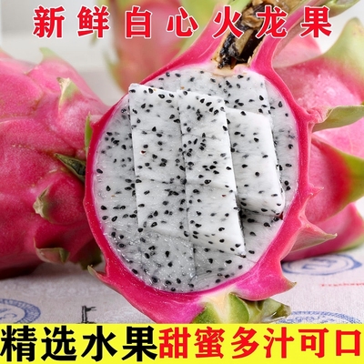 越南进口白心火龙果当季新鲜采摘