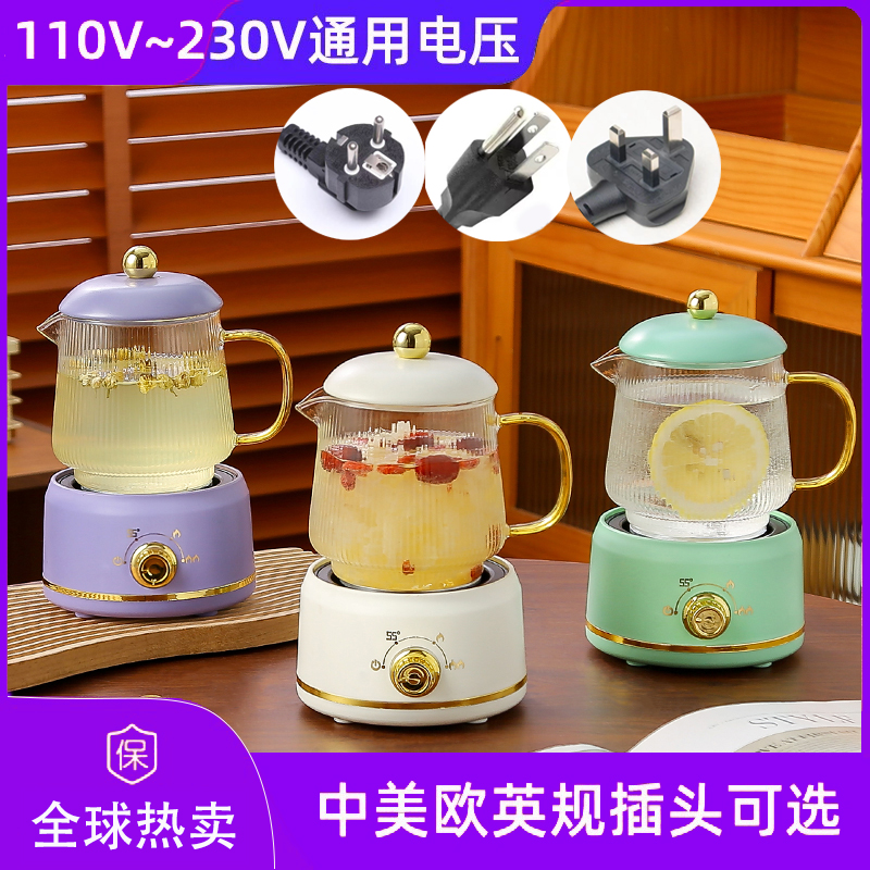 跨境专用110V220V通用电压电热水杯美英欧规养生杯小型电热养生壶