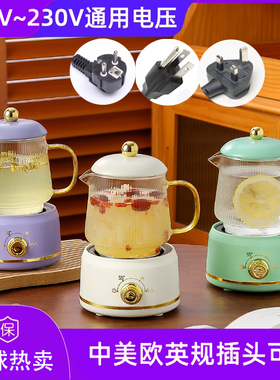 跨境专用110V220V通用电压电热水杯美英欧规养生杯小型电热养生壶