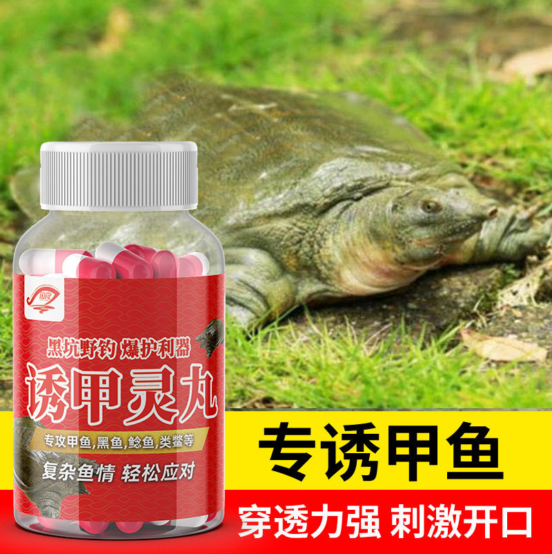 钓甲鱼诱食剂小药甲鱼王八乌龟鳖类饵料户外专用甲鱼药水四季通用