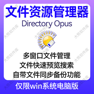 双窗口文件资源管理器多窗口多标签文件快速管理器Directory Opus