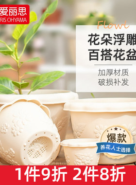 创意控根多肉兰花塑料绿萝树脂