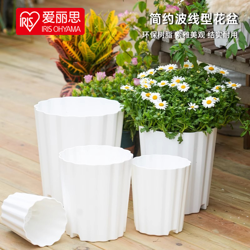 爱丽思花盆家用客厅插花盆栽绿植姬小菊玛格丽特风信子花卉爱丽丝