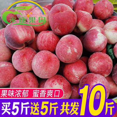北京33号水蜜桃秦安蜜桃5斤大果