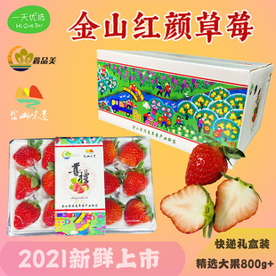 金山鑫品美草莓红颜香甜糯当日采摘新鲜无公害上海本地礼盒送上门