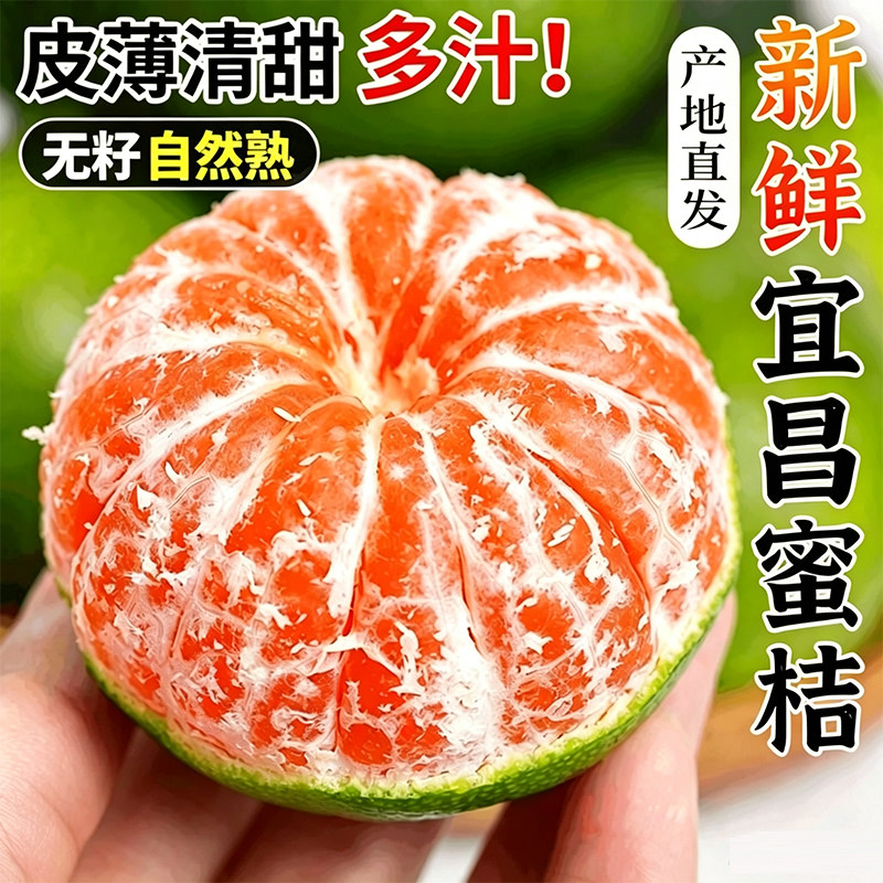 宜昌正宗薄皮无籽蜜桔现摘