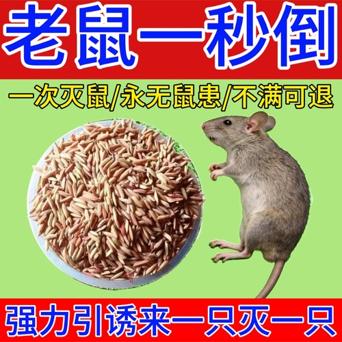 灭老鼠特效专用家用药一窝超强高效药倒正品官方旗舰店耗子三步端