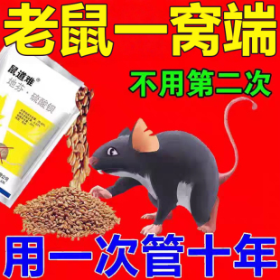 老鼠家用药超强力耗子药神高特药老鼠一锅端室外死效闻就死药