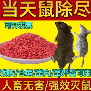 老鼠家用药超强力耗子药神高特药老鼠一锅端室外死特效闻就死