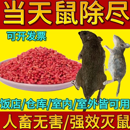 老鼠家用药超强力耗子药神高