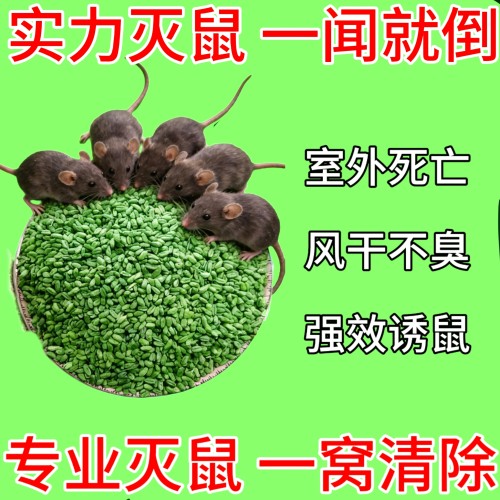老鼠药家用药超强灭老鼠高效室外死特效耗子药毒药灭鼠正品力毒强