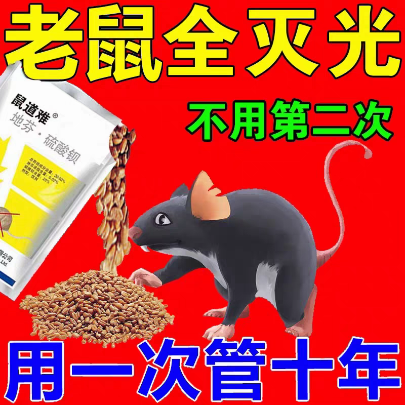 【3秒见校】老鼠特效神药家用药一闻就室外室内强力死一锅端驱鼠