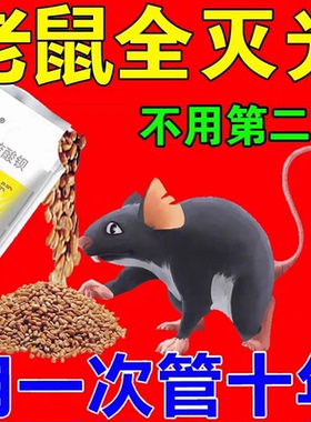 【3秒见校】老鼠特效神药家用药一闻就室外室内强力死一锅端驱鼠