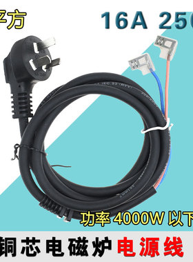 2平方电磁炉电源线4000W连接线光波炉电磁灶带卡槽插头通用