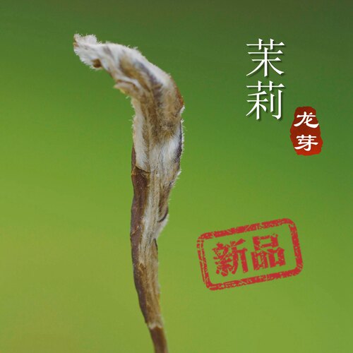 【茉莉龙芽】特级茉莉伯牙绝弦