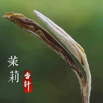 【萨古的奶茶计划】茉莉香针花茶