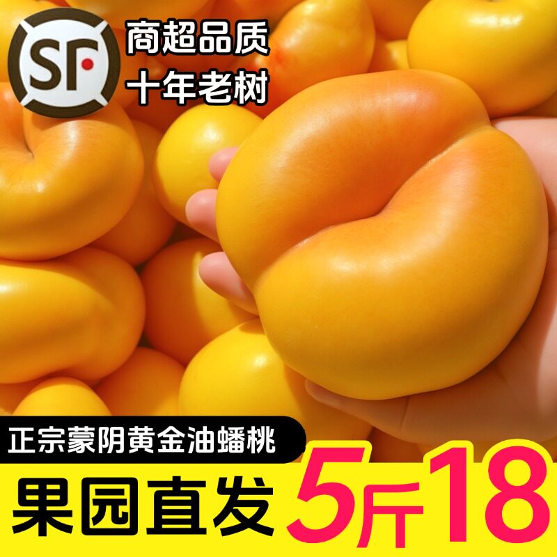 【沂蒙山】黄金油蟠桃山东蒙阴新鲜水果当季桃子脆甜黄肉蜜桃子