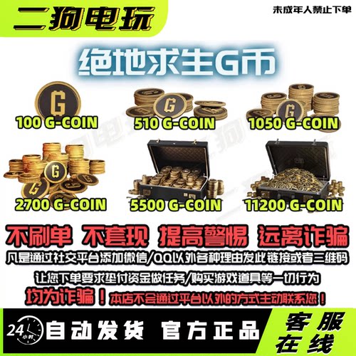 PUBGG币绝地求生G币金币吃鸡gb游戏币皮肤点卷官方充值兑换码CDK