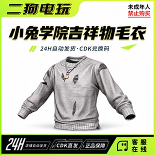 STEAM绝地求生PUBG小兔学院吉祥物毛衣皮肤绝地求生CDK兑换码